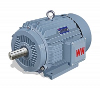 WN Motor products
